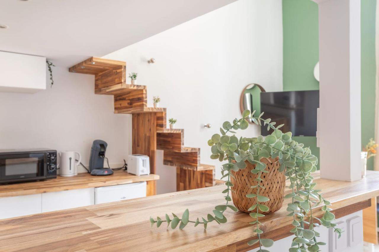 Duplex Lumineux Centre Ville 普罗旺斯地区艾克斯 外观 照片